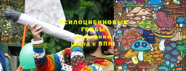 соль ск Алзамай